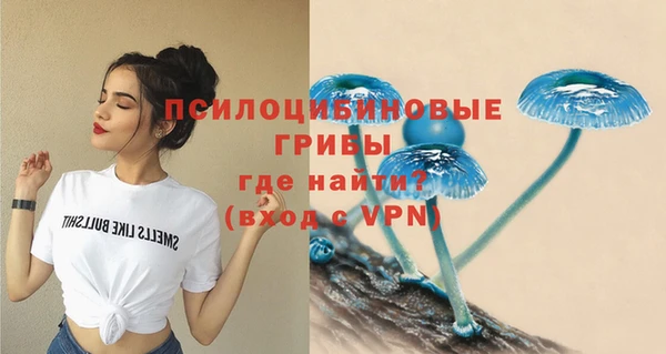 индика Абаза