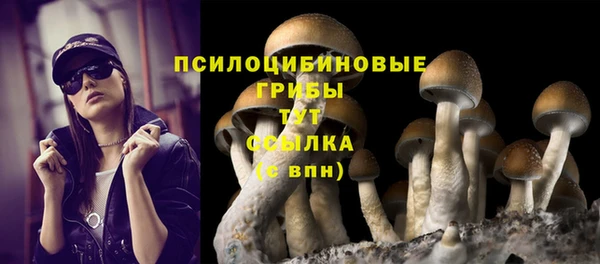 скорость Пересвет