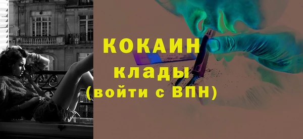индика Абаза