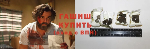 индика Абаза