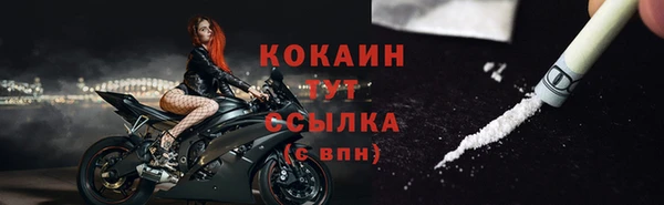 хмурый Пестово