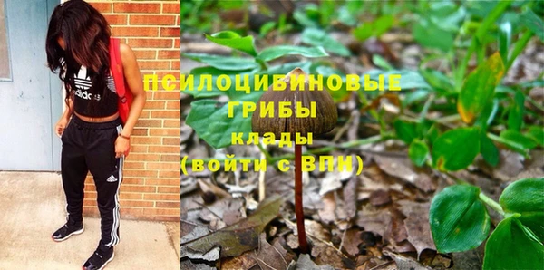 ешки Абинск