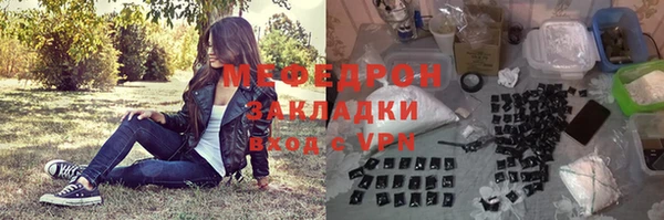 индика Абаза