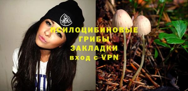 ешки Абинск