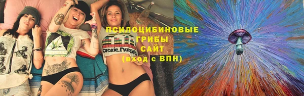 ешки Абинск