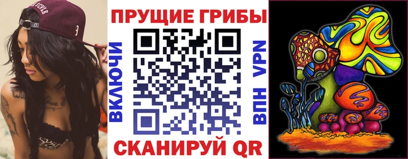 Псилоцибиновые грибы мухоморы  Вичуга 