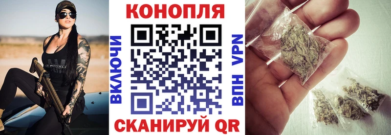 Бошки Шишки конопля  Вичуга 
